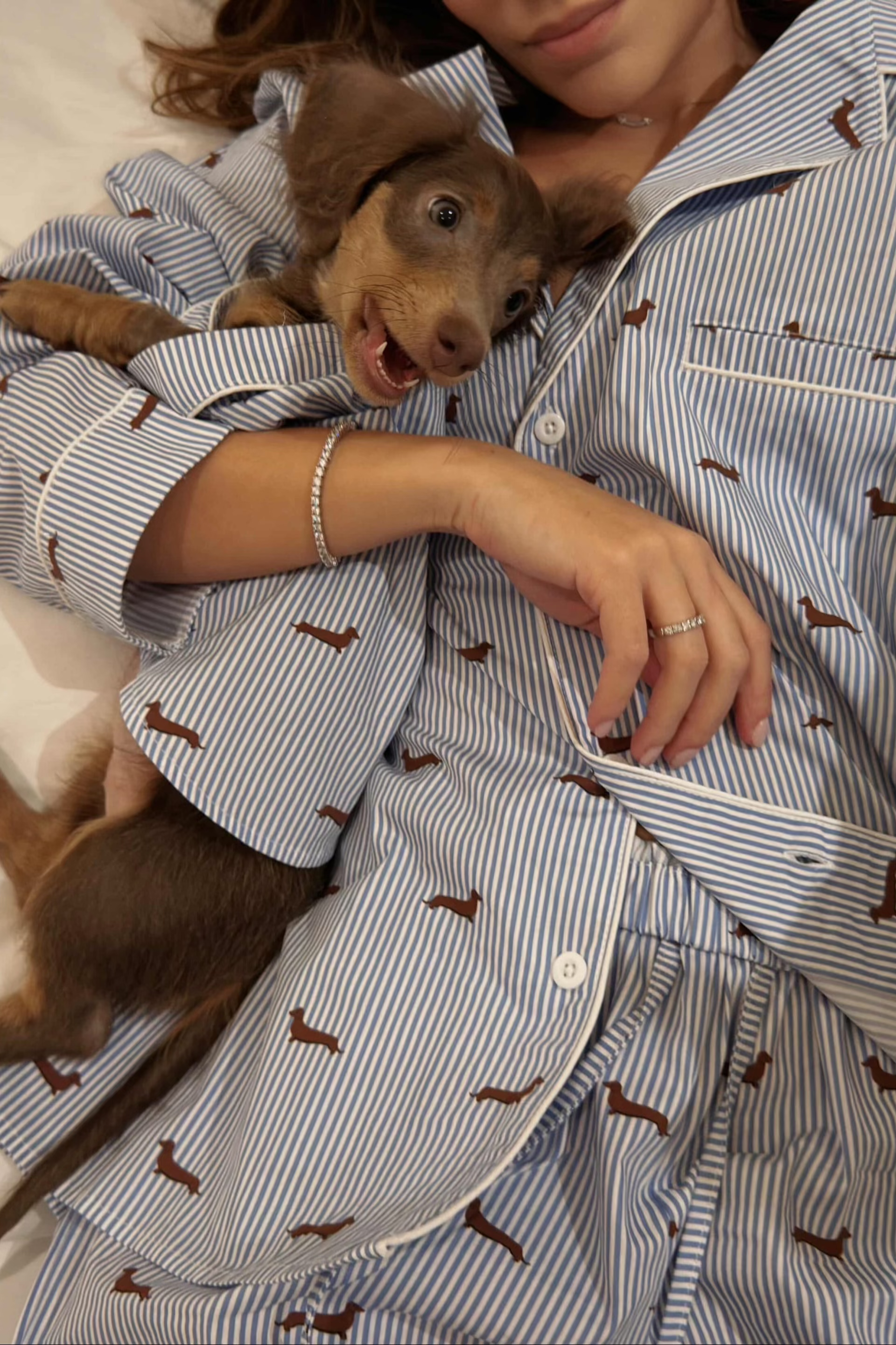 Dachshund matching pajama set – Blue & white