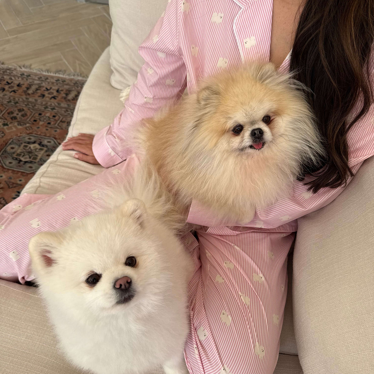 A person wearing pink and white striped pajamas with small white floral prints sits on a beige sofa with two fluffy Pomeranian dogs, one resting on their lap and the other in front.