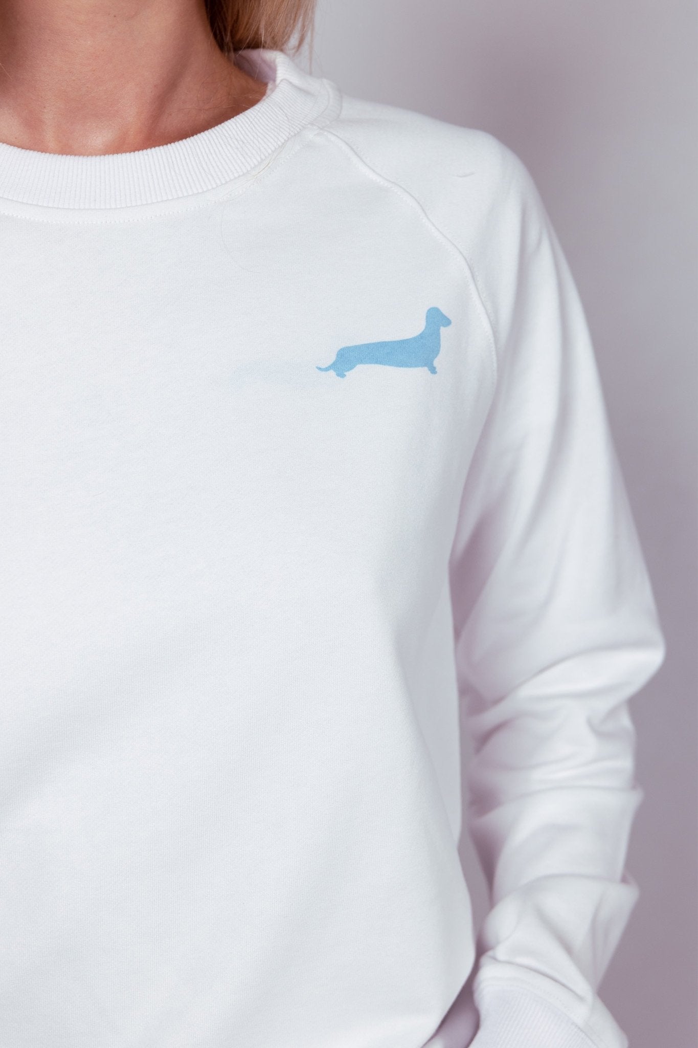 Dachshund Walkers Sweatshirt – White & Blue - Dupper