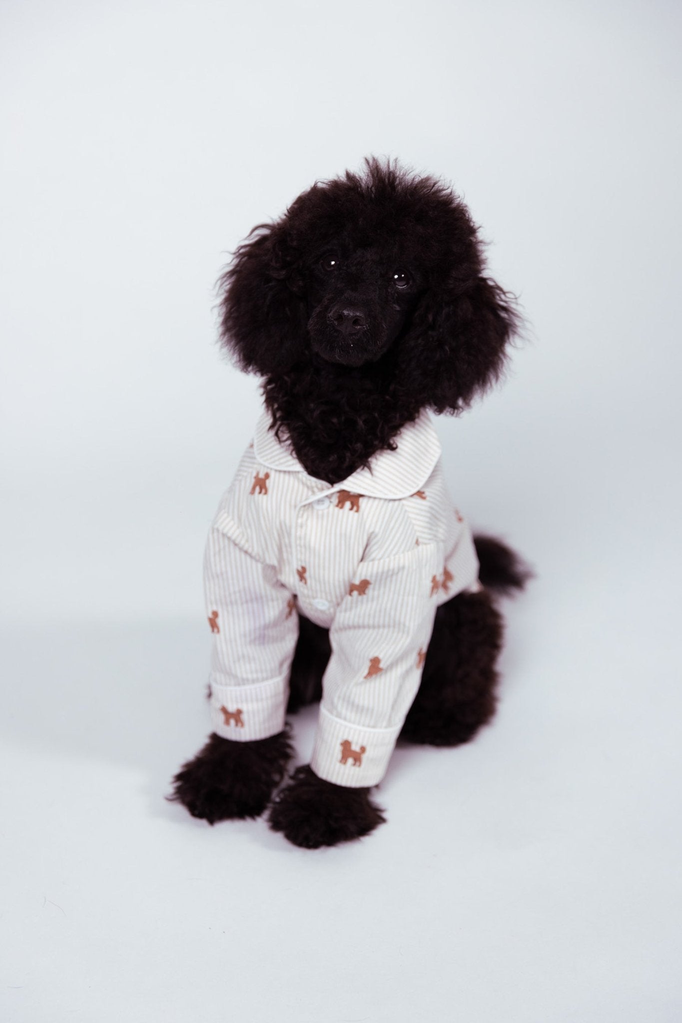 Doodle dog pajama shirt - Brown & white - Dupper