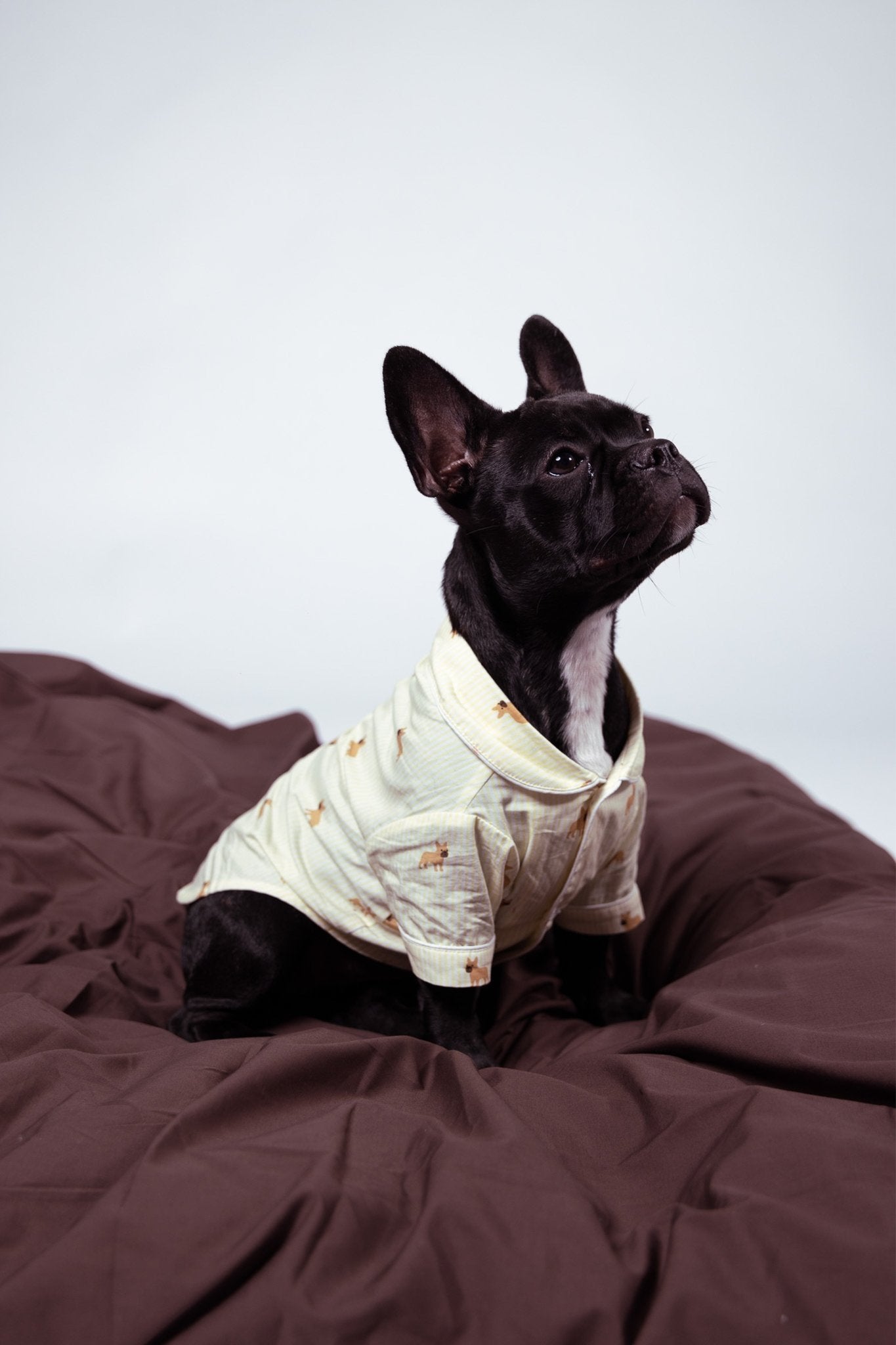 Frenchie dog pajama shirt - Yellow & white - Dupper