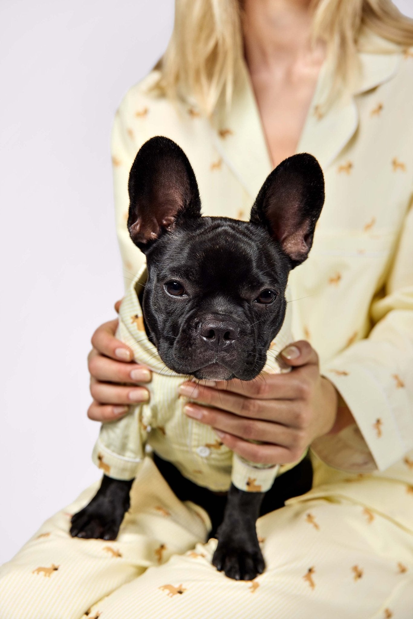Frenchie matching pajama set – Yellow & white - Dupper
