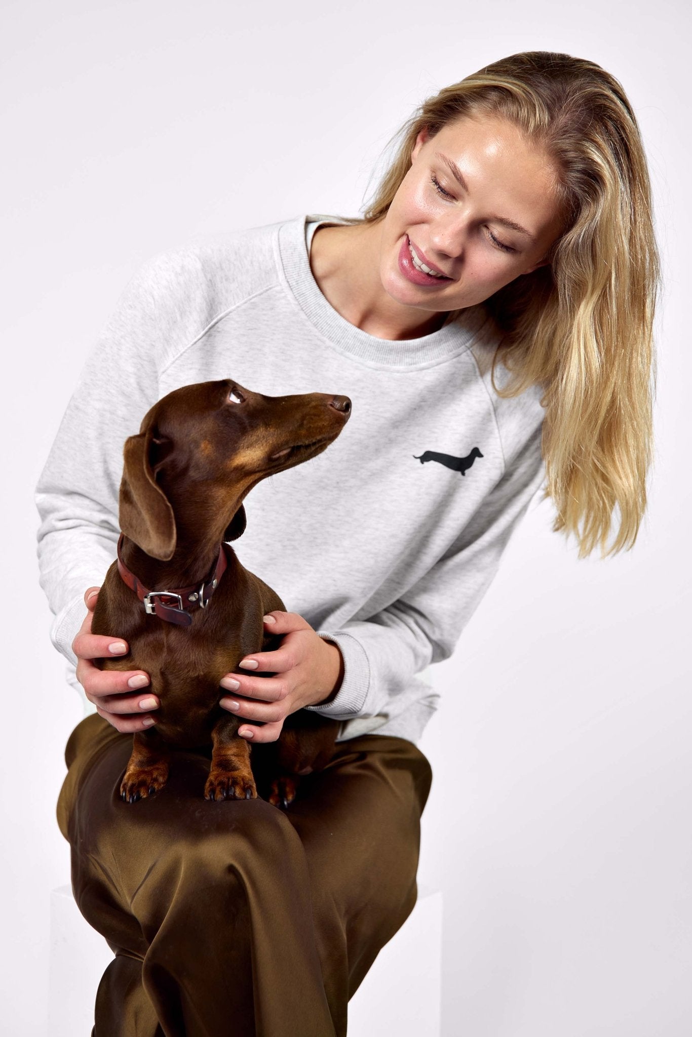 LA city of dachshunds sweatshirt – Grey - Dupper