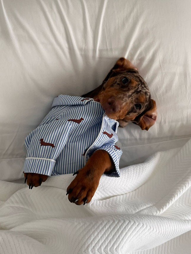 Lotta Dog Pajama Shirt - Dupper