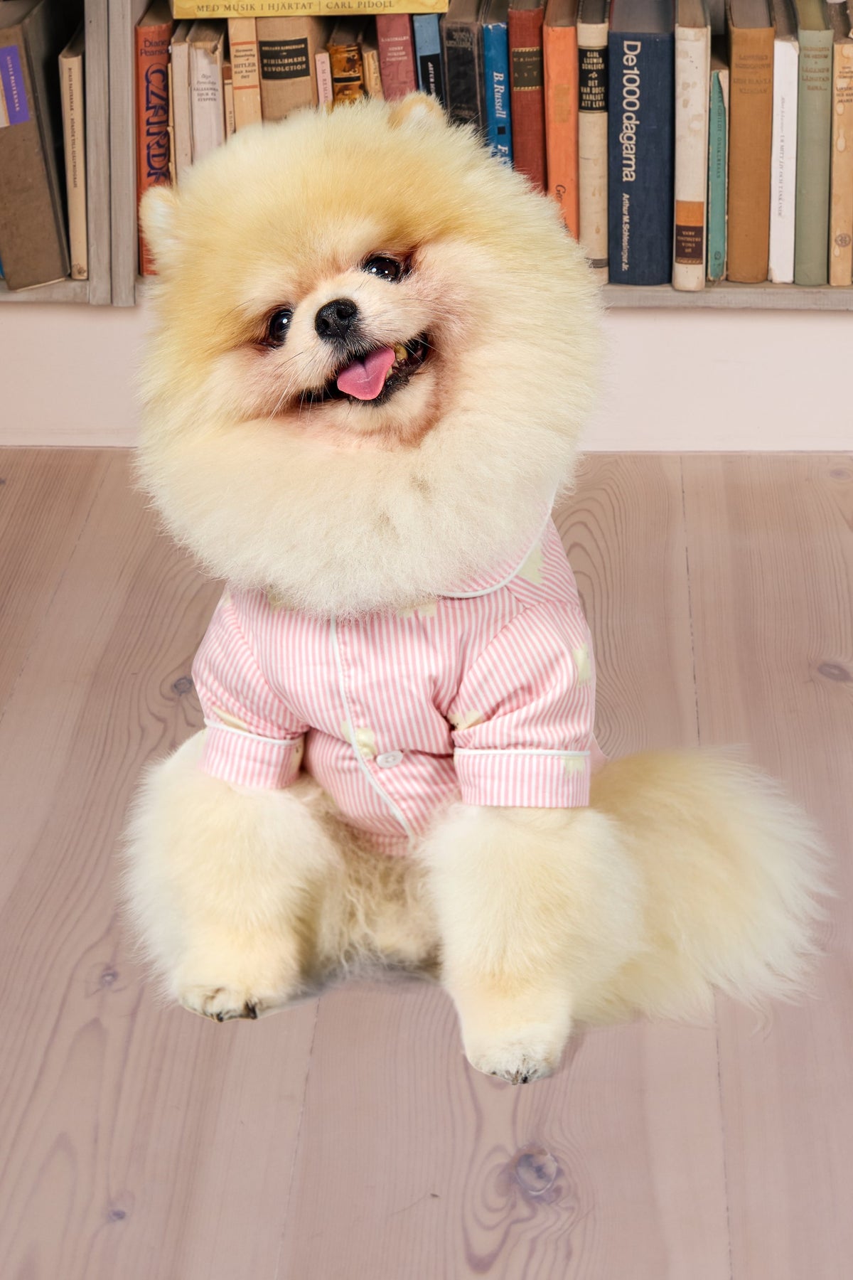 Pomeranian dog pajama shirt – Pink & white - Dupper