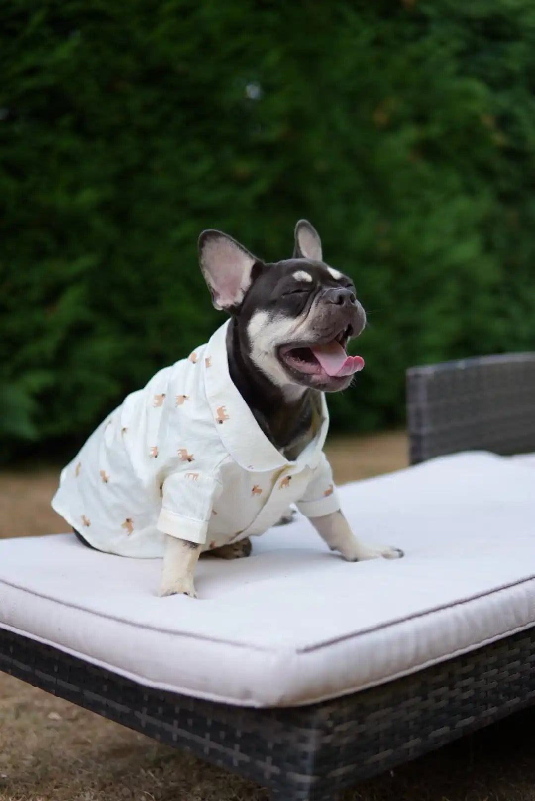 Frenchie dog pajama shirt – Yellow & white