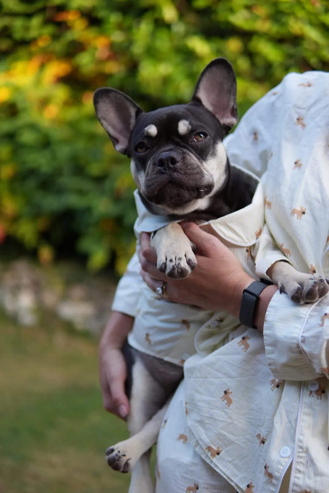 Frenchie matching pajama set – Yellow & white