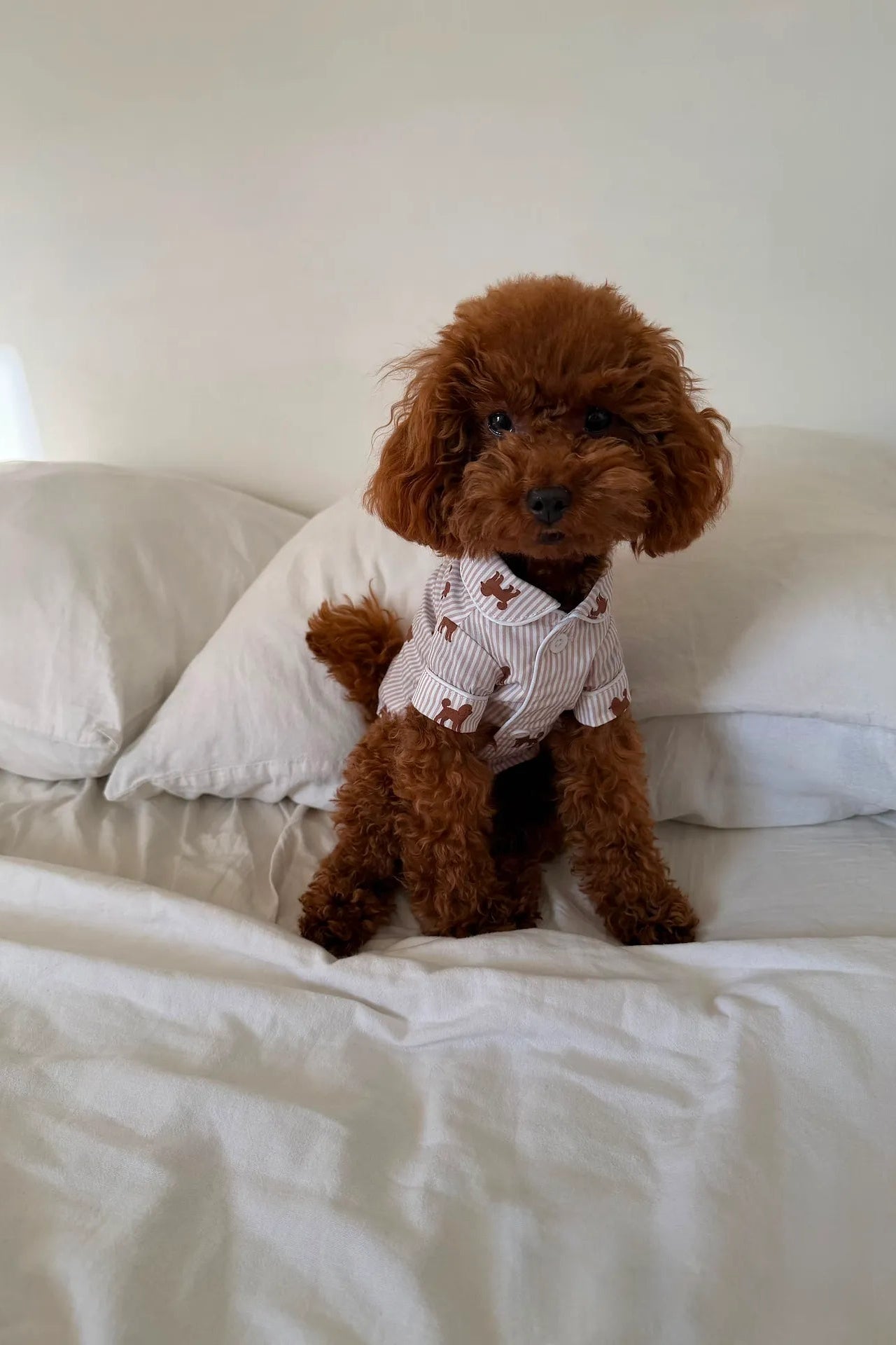 Doodle dog pajama shirt – Brown & white