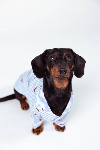 Dachshund dog pajama shirt - Blue &amp; white
