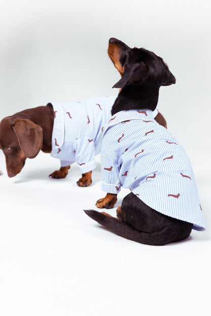 Dachshund dog pajama shirt - Blue &amp; white - Dupper