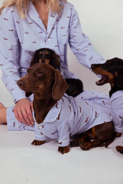 Dachshund matching pajama set – Blue &amp; white - Dupper