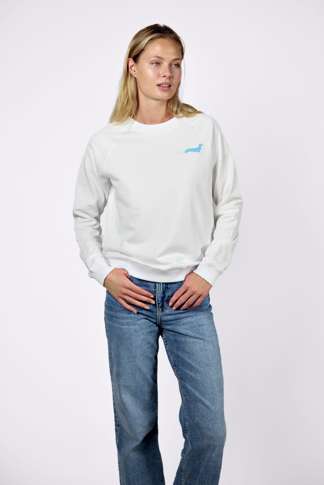 Dachshund walkers sweatshirt – White & blue - Dupper