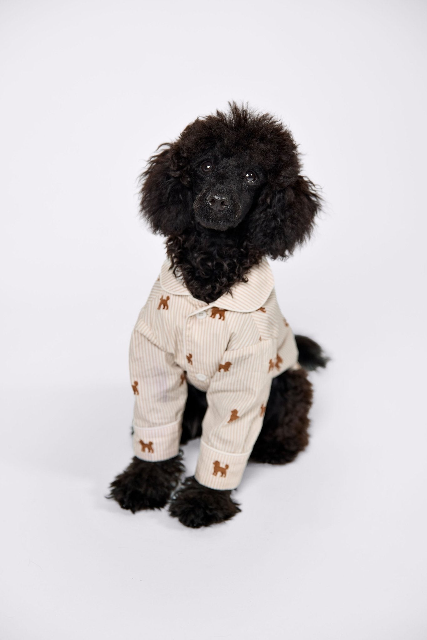 Doodle dog pajama shirt – Brown & white - Dupper