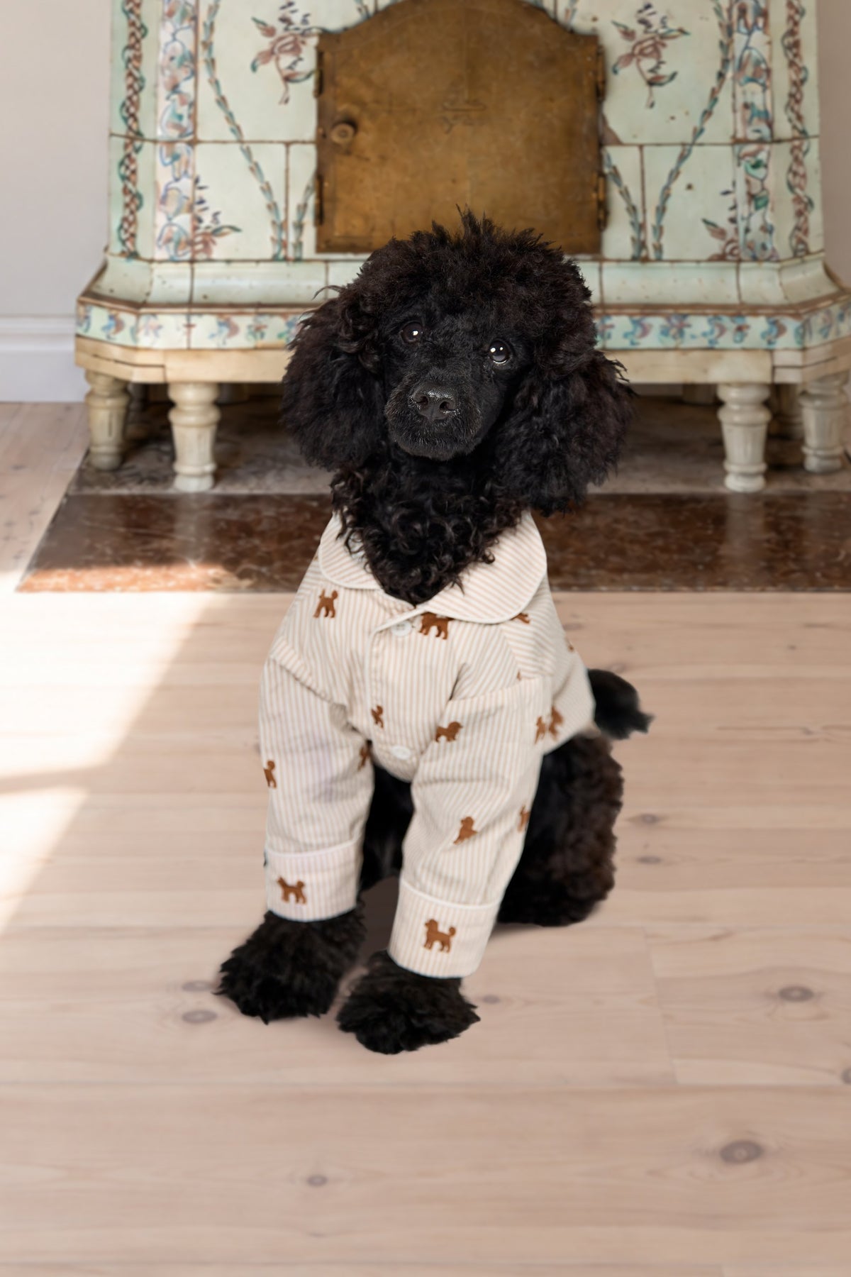 Doodle wearing the brown and white dog pajama