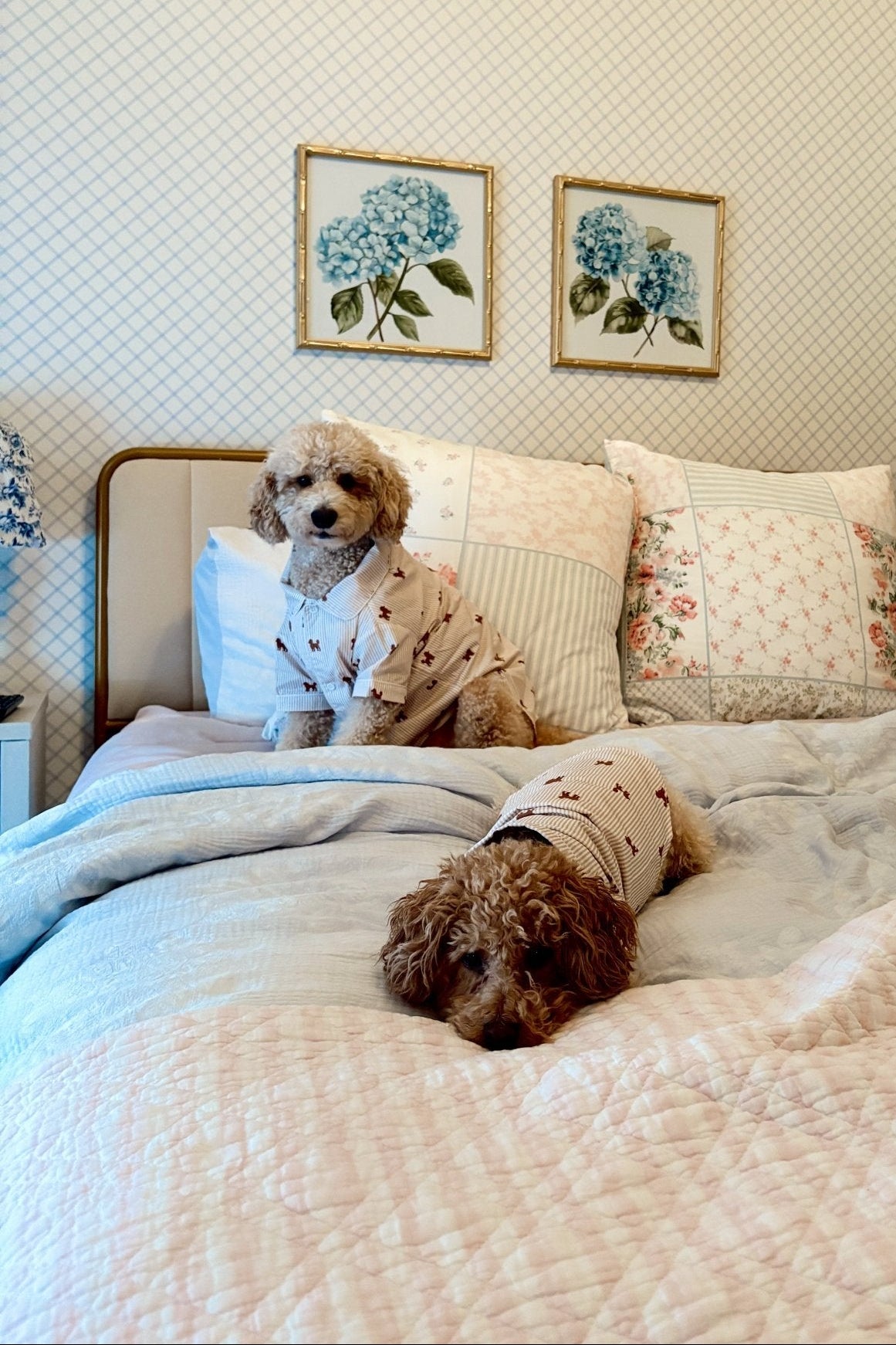 Doodle dog pajama shirt – Brown & white - Dupper