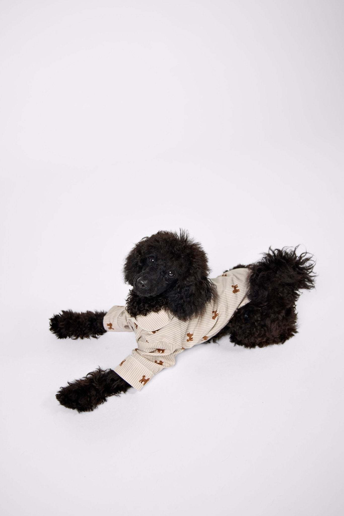 Doodle dog pajama shirt – Brown & white - Dupper