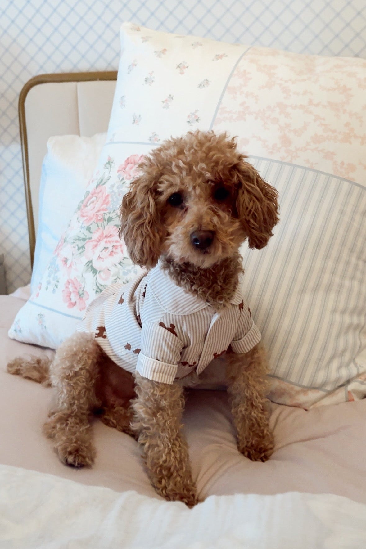 Doodle dog pajama shirt – Brown & white - Dupper