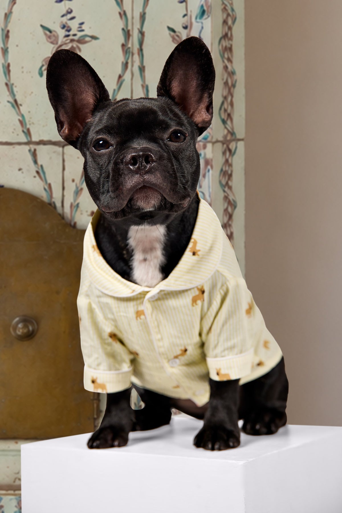 Frenchie dog pajama shirt – Yellow & white - Dupper