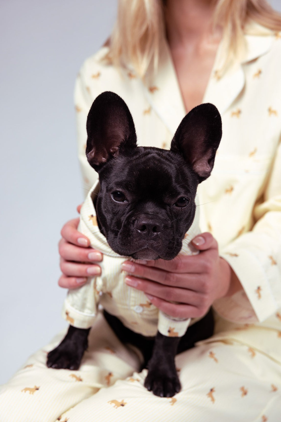 Frenchie dog pajama shirt - Yellow &amp; white - Dupper