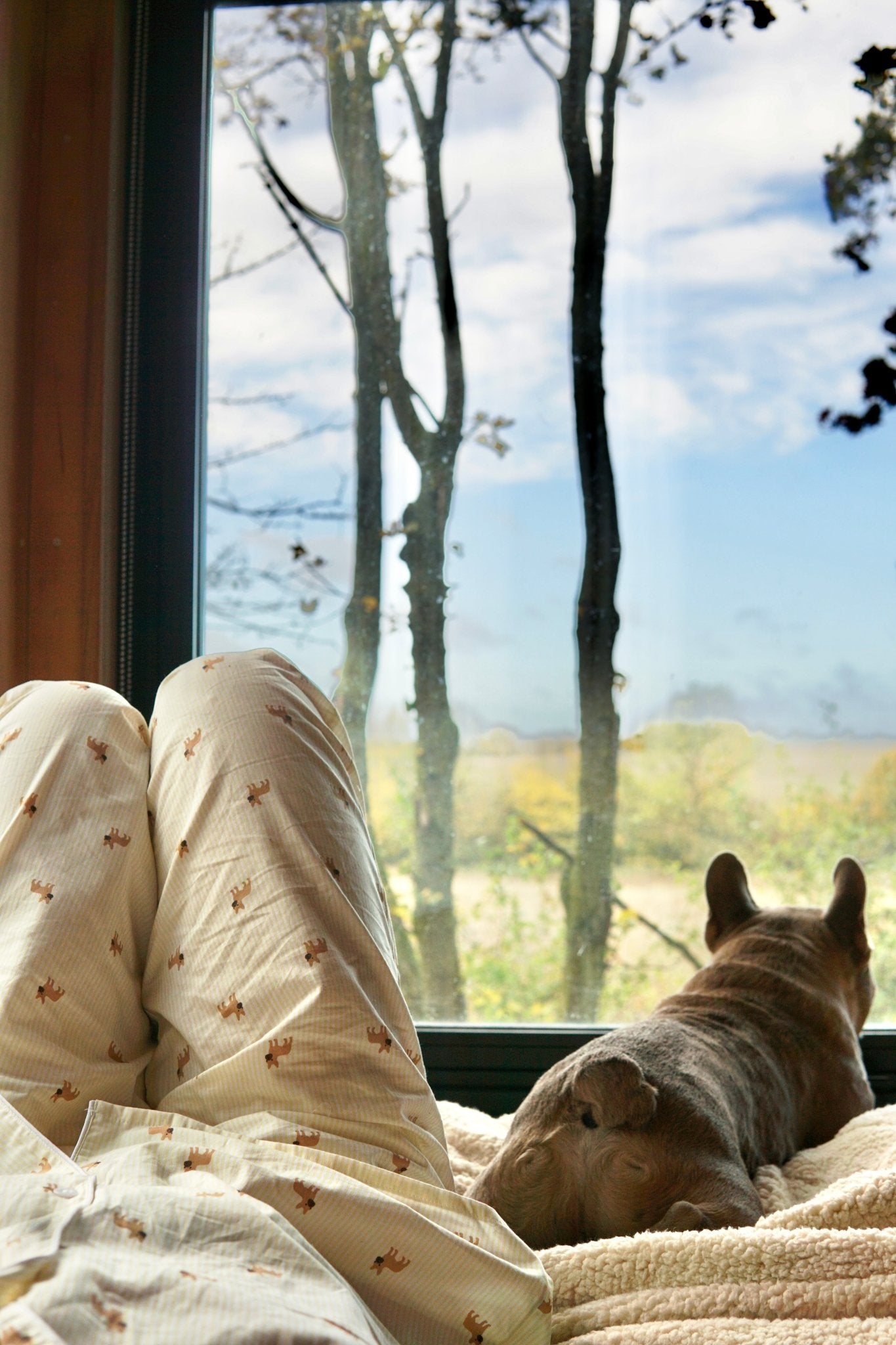 Frenchie matching pajama set – Yellow & white - Dupper