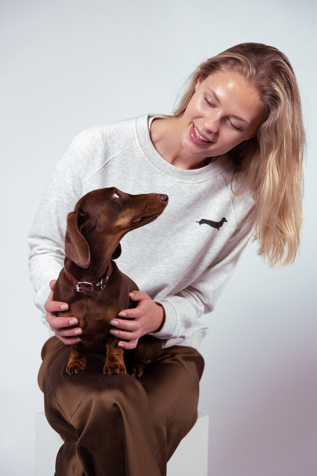 LA City of Dachshunds Sweatshirt – Grey - Dupper