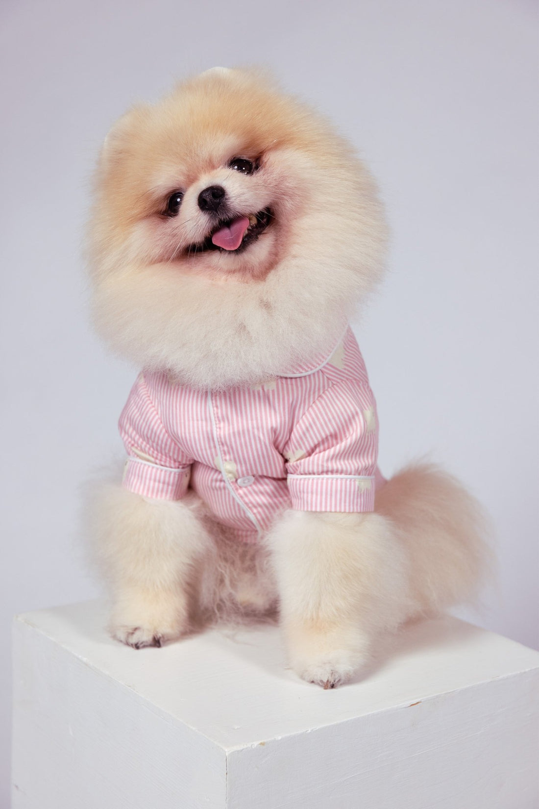 Pomeranian dog pajama shirt - Pink &amp; white - Dupper