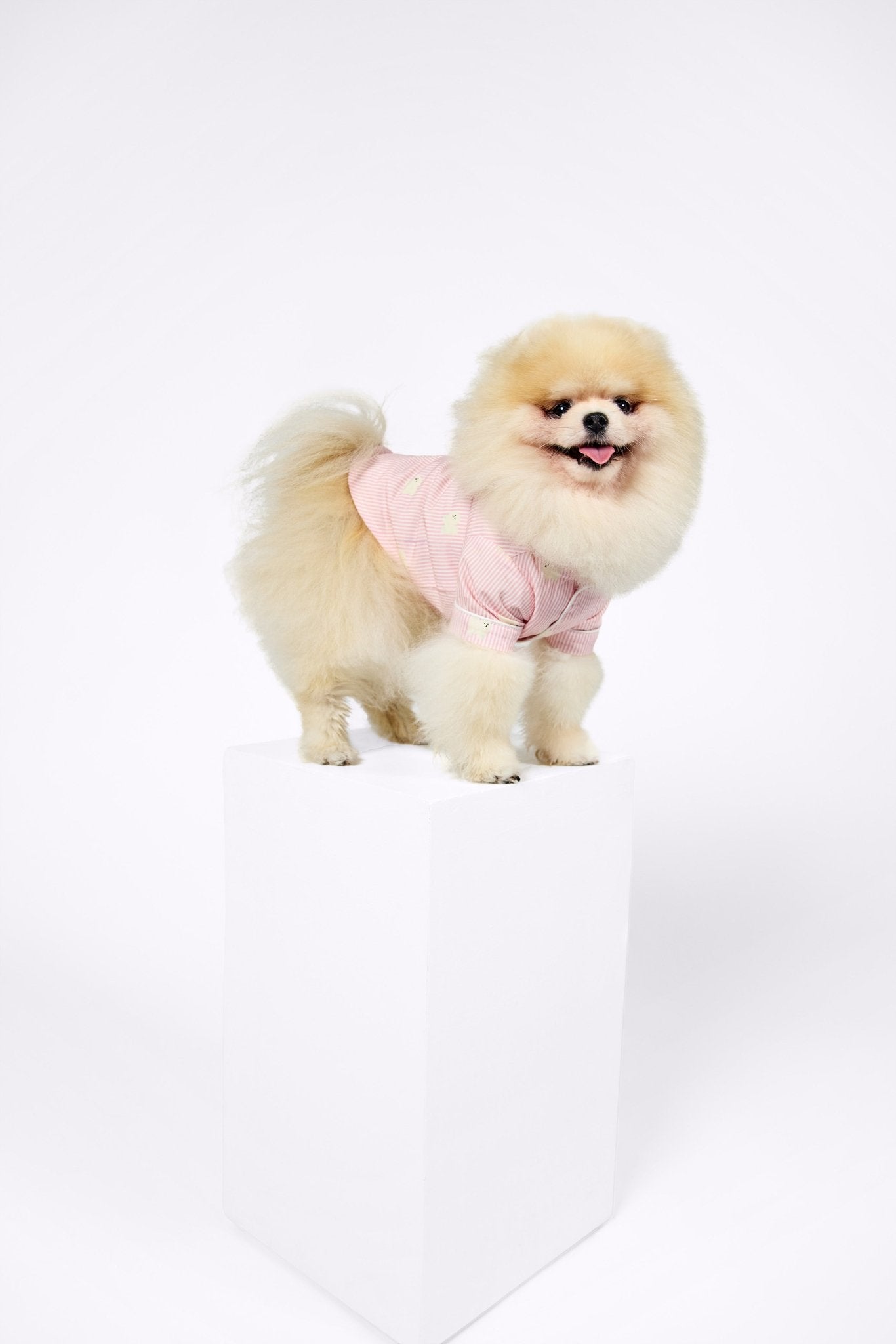 Pomeranian dog pajama shirt – Pink & white - Dupper